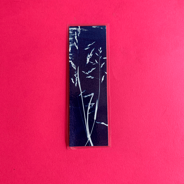 Marque page cyanotype végétal original sur papier épais et plastifié