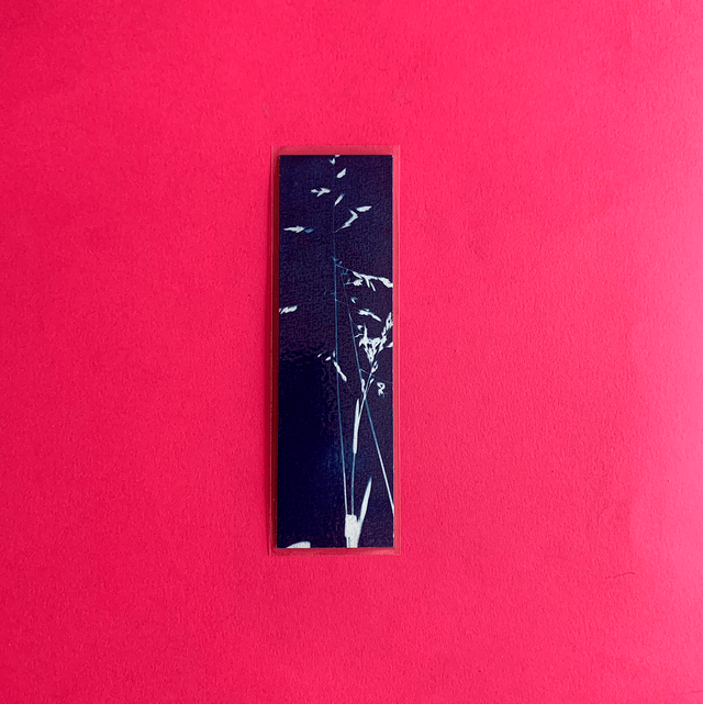 Marque page cyanotype végétal original sur papier épais et plastifié