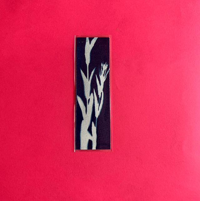Marque page cyanotype végétal original sur papier épais et plastifié