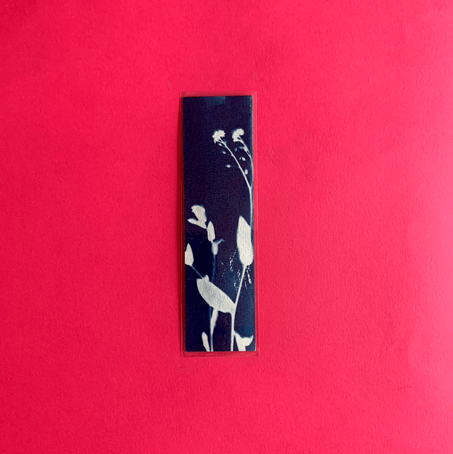 Marque page cyanotype végétal original sur papier épais et plastifié