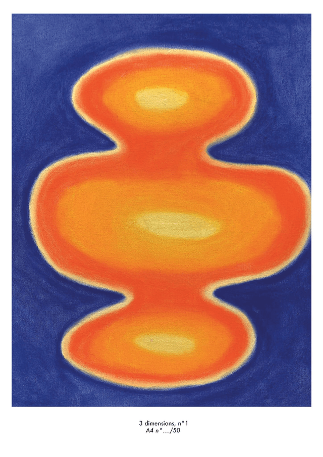 Reproduction imprimée 3 dimensions n°1