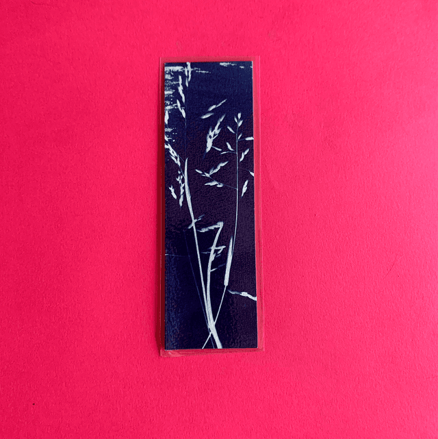 Marque page cyanotype végétal original sur papier épais et plastifié