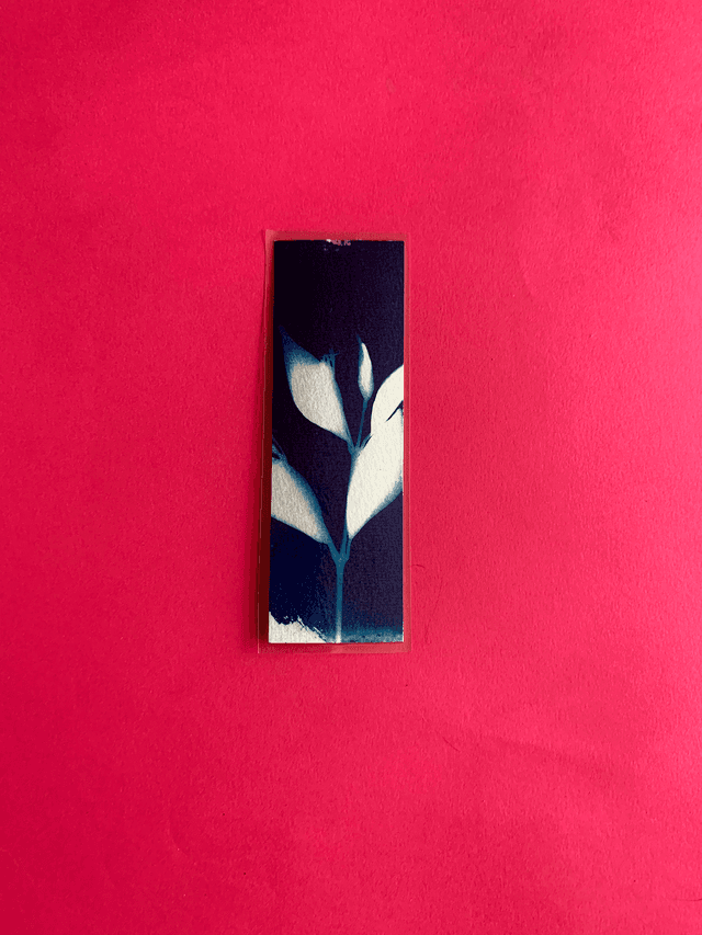 Marque page cyanotype végétal original sur papier épais et plastifié