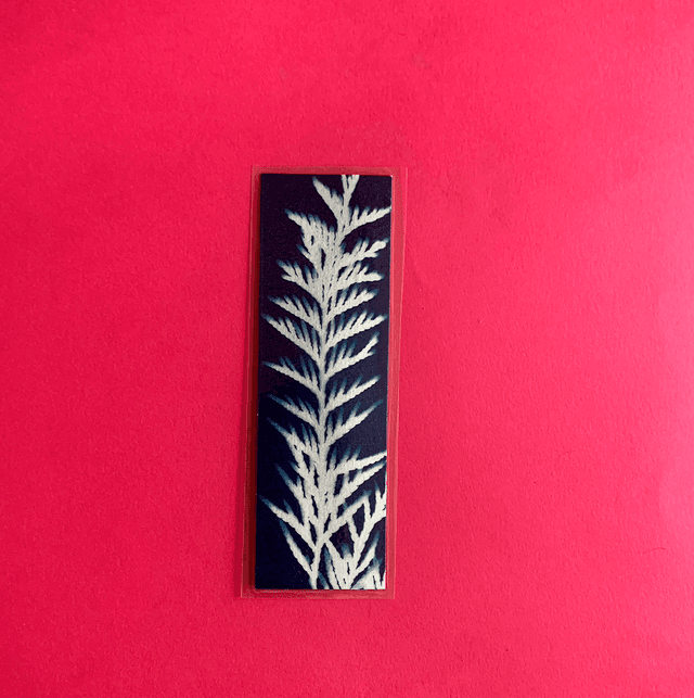 Marque page cyanotype végétal original sur papier épais et plastifié