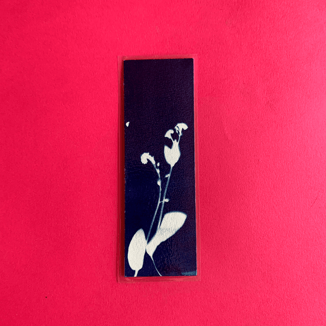 Marque page cyanotype végétal original sur papier épais et plastifié
