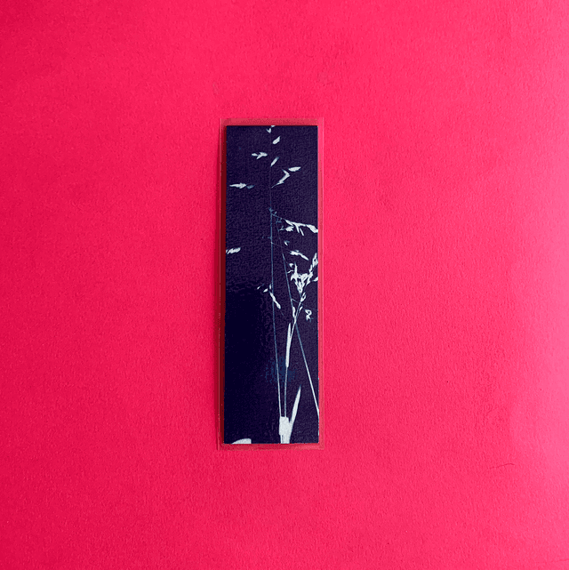 Marque page cyanotype végétal original sur papier épais et plastifié