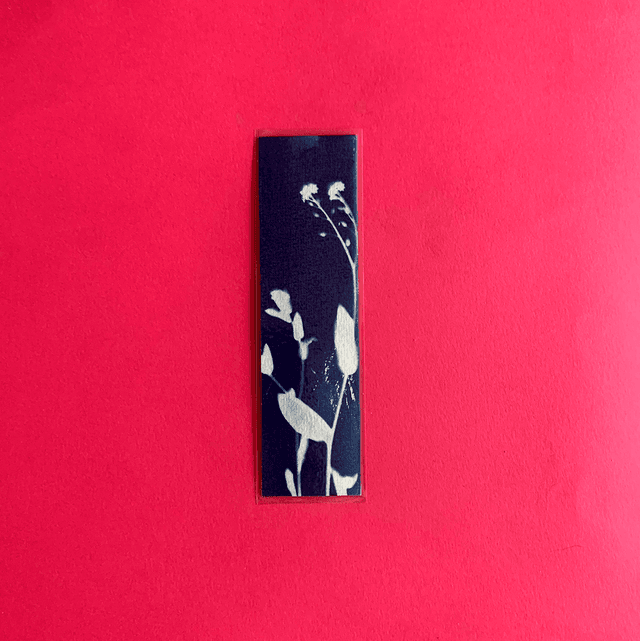 Marque page cyanotype végétal original sur papier épais et plastifié