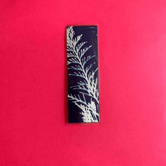 Marque page cyanotype végétal original sur papier épais et plastifié