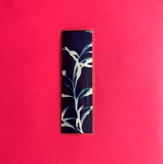 Marque page cyanotype végétal original sur papier épais et plastifié