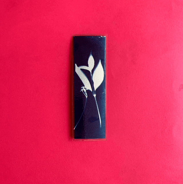 Marque page cyanotype végétal original sur papier épais et plastifié