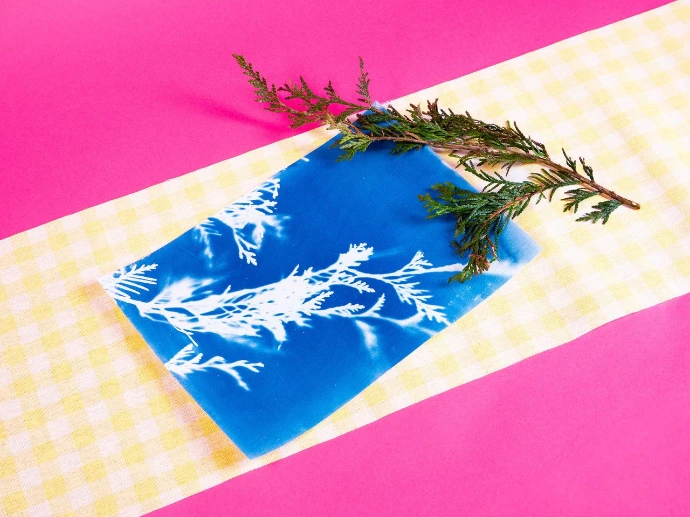 Atelier cyanotype végétal
