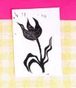 Carte Lino - Tulipe
